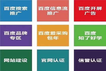 行业趋势下的SEM竞价代运营公司成功案例分析